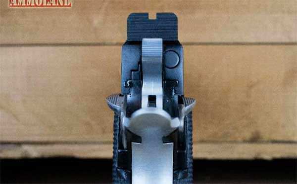 SPS Pantera Series Handgun Slide-to-Frame fit rarely found on a factory gun