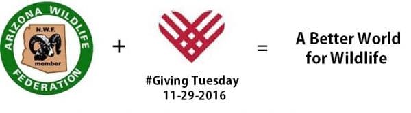 Giving Tuesday