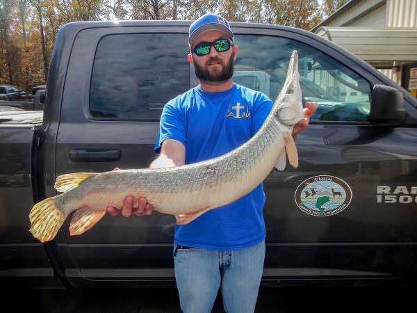 Arkansas Bowfisherman Sets New Shortnose Gar Record