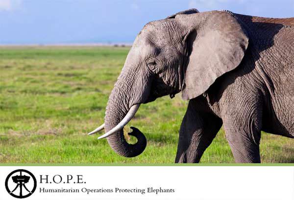 Humanitarian Operations Protecting Elephants