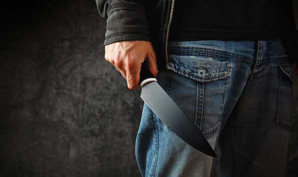 Long Knife in Hand Knives