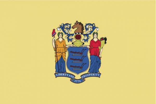 New Jersey State Flag