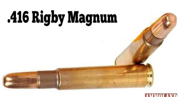 .416 Rigby Magnum