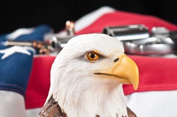 American Flag Eagle Revoler Gun