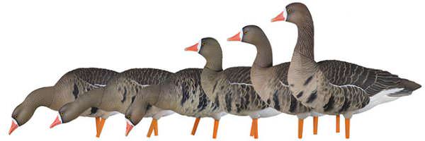 Avian-X Speck Full-Body Goose Decoys