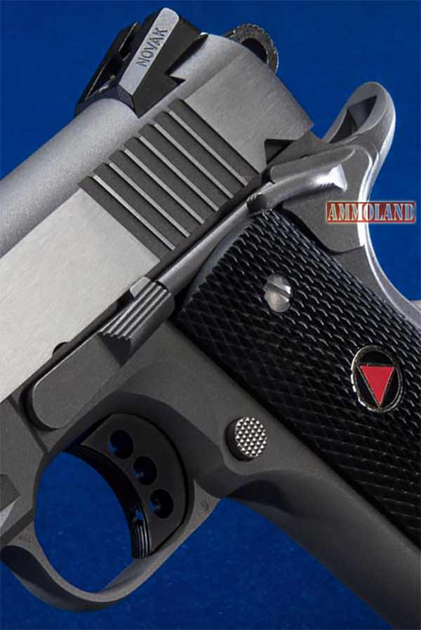 Colt Delta Elite Rail Gun 1911 in 10mm