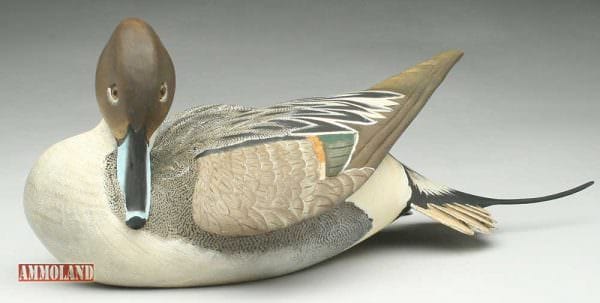 Decorative Pintail Drake Duck Decoy By The Ward Brothers