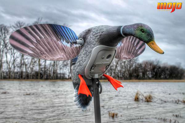 MOJO TV New MOJO Mallard