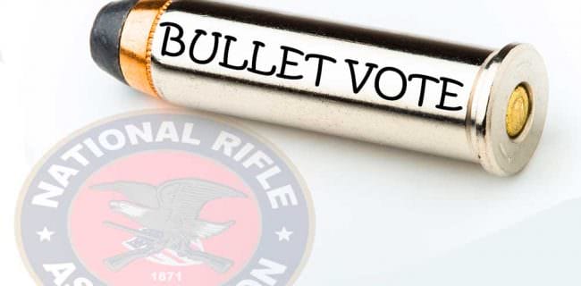NRA Board Bullet Voting