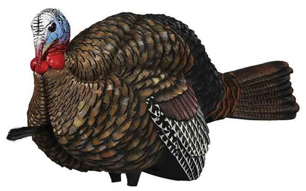 Avian-X LCD 1/2 Strut Jake Turkey Decoy