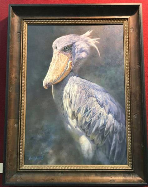 'African Shoebill' by Brian Jarvi
