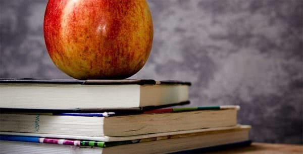 Charter School Education Apples Books img creators