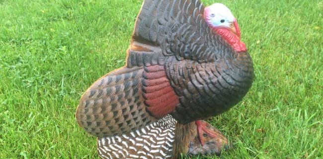 Rinehart Turkey Decoy