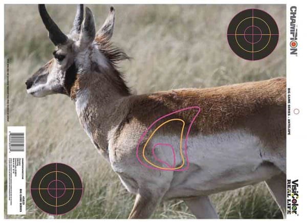 Champion Traps & Targets Offers New VisiColor Reactive Targets