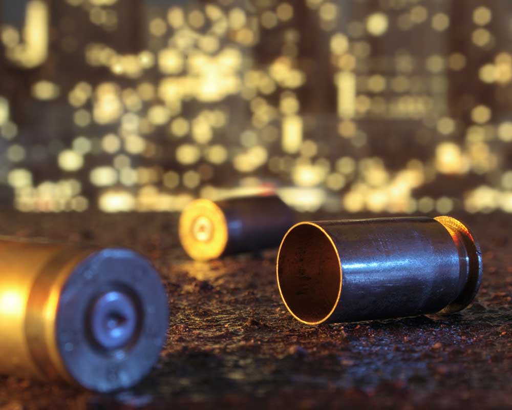 Brass Shell Casing Ammo Ammunition Bullet Case