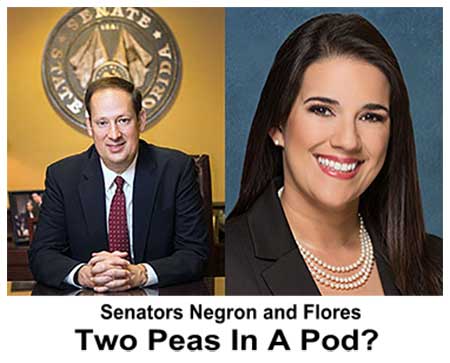 Florida Senators Negron and Flores