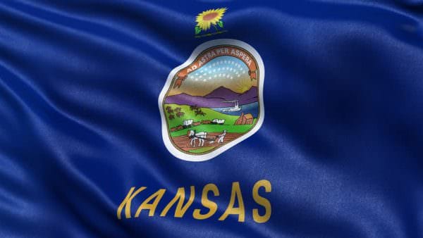 Kansas State Flag