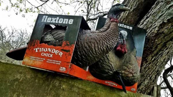 Flextone Thunder Chick and Thunder Creeper Turkey Decoys