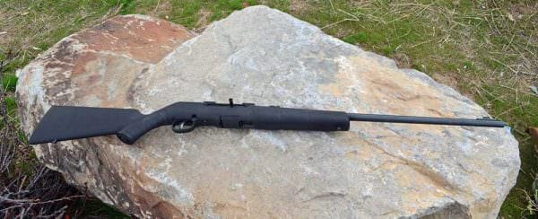 Savage Arms A22 Rifle, 21" barrel, iron sights, no barrel threads and an overall look that reflected "standard".