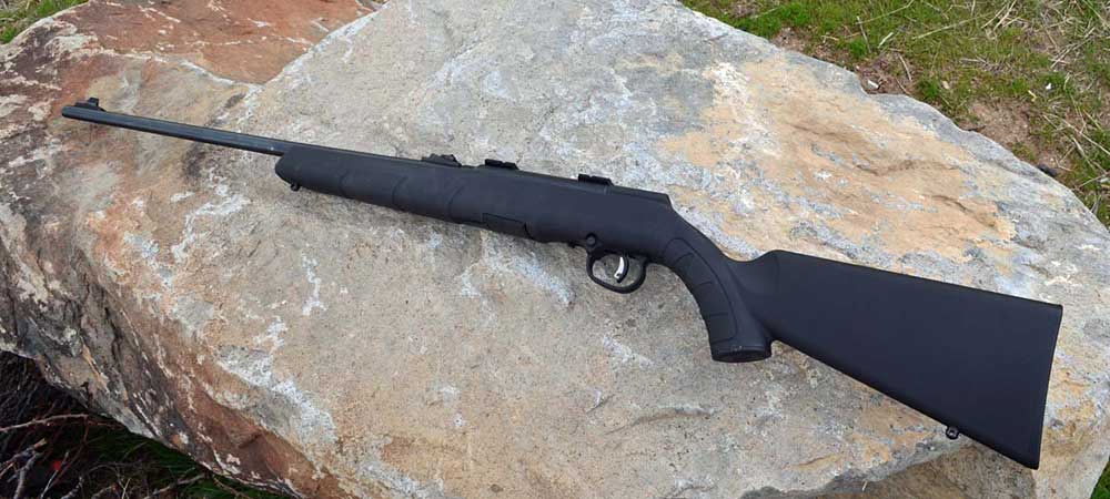Savage Arms A22 Rifle in 22 LR - Gun Review Surprises