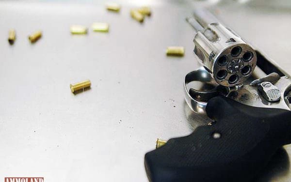Why You Really Should Get A .22lr Handgun .22LR Handgun Revolver