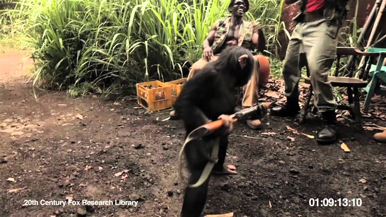 Monkey with Gun AK