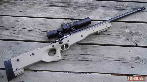 Crickett Precision Rifle from Keystone Sporting Arms