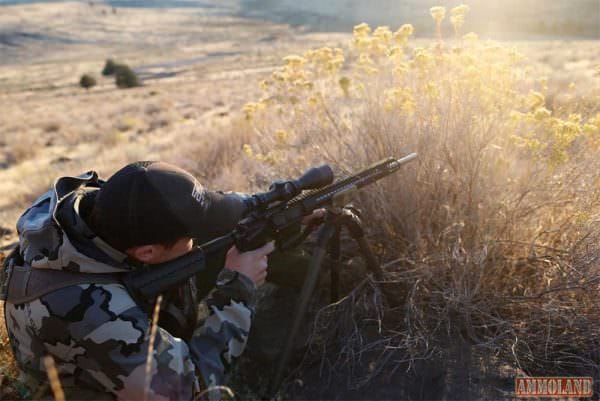 Varmint Hunting with Leupold Optics and Novesk Rifle