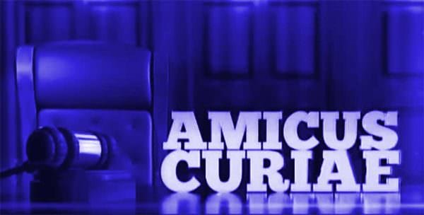 Amicus Curiae