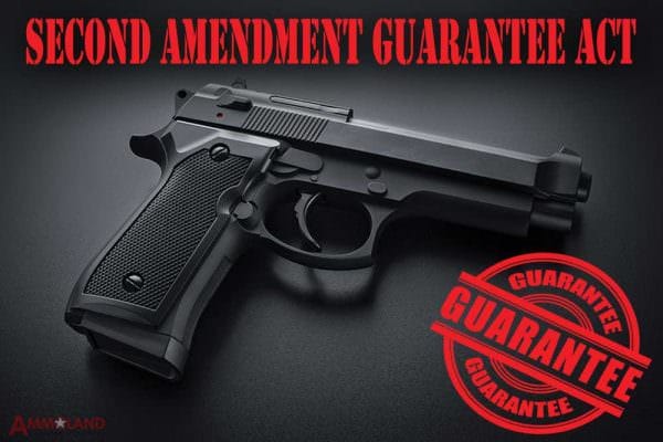 Second Amendment Guarantee Act