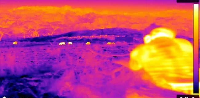 FLIR’s thermal imaging handhelds and weapon sights allow for superior target identification out to several hundred yards. Thermal excels in total darkness, but is equally competent throughout the full range of possible lighting conditions. Photo courtesy of gridironoutdoors.com.