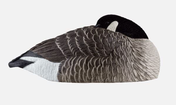 Avian-X AXF Canada Goose Sleeper Shells (Flocked)