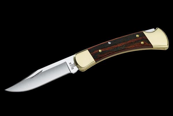 Buck Knives 110 Folding Hunter