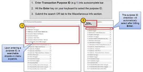 NICS E-Check Enhancements 10-2017 Image 2