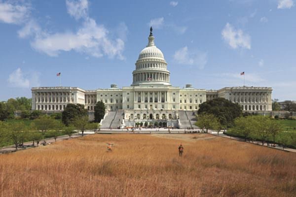 Capitol Building Hunters