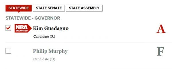 NRA endorses Kim Guadagno