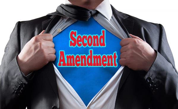 Second Amendment Hero