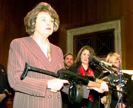 Gun Banner Dianne Feinstein