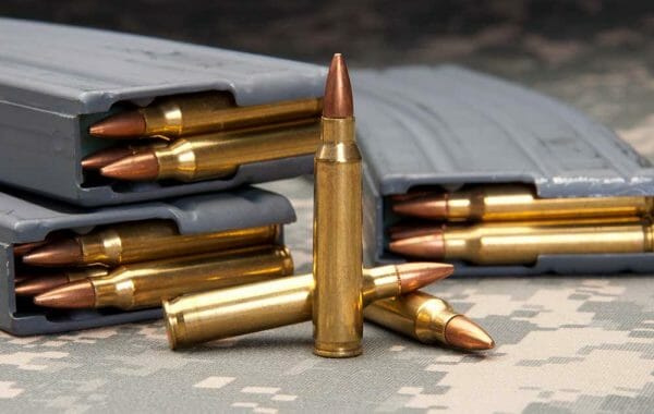 Standard Capacity 223 Magazine Bans Ammunition
