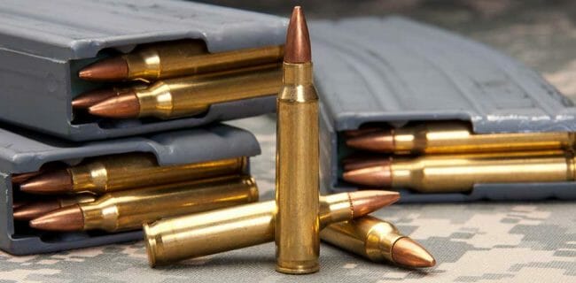 Standard Capacity 223 Magazine Bans Ammunition