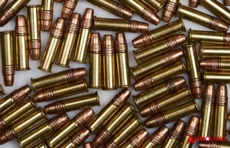 .22 Long Rifle Ammo Ammunition Bullets cropped