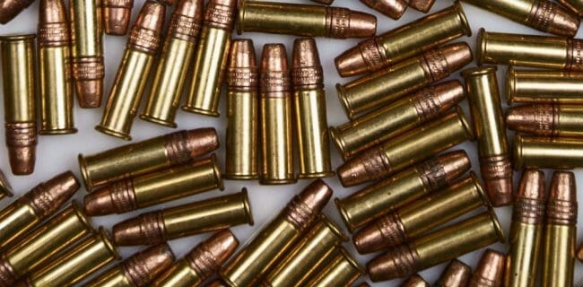 .22 Long Rifle Ammo Ammunition Bullets cropped