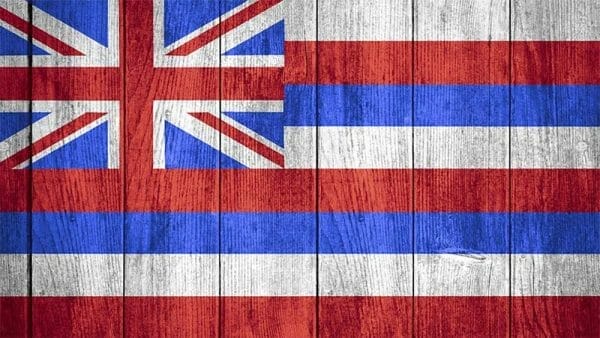 Hawaii State Flag