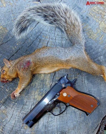 Smith and Wesson 39 Revolver Handgun Hunting squirrels