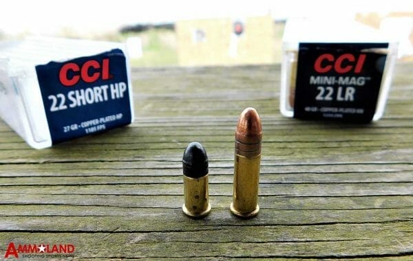 22 Short Ammunition vs 22 LR Ammo