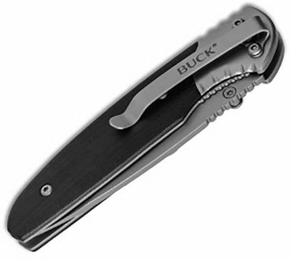 Buck 300 Glacier Folding Knife