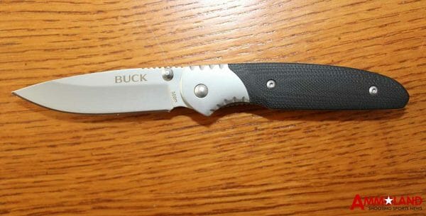 Buck 300 Glacier Folding Knife