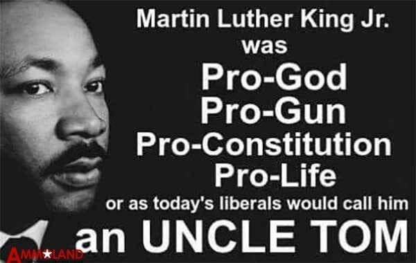 Martin Luther King Pro Gun