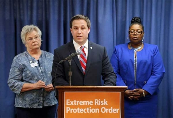 State Rep. Robert Wittenberg (D-Oak Park) introduced new legislation to allow judges to issue protective orders for individuals that law enforcement or family members assert pose a threat, on Tuesday, June 6, 2017. He was joined at a press conference by representatives from Moms Demand Action, the Michigan Coalition Against Gun Violence and Kim Miles representing the Wayne County Prosecutor's Office.