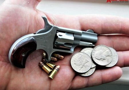 North American Arms Mini Revolver in 22 Short